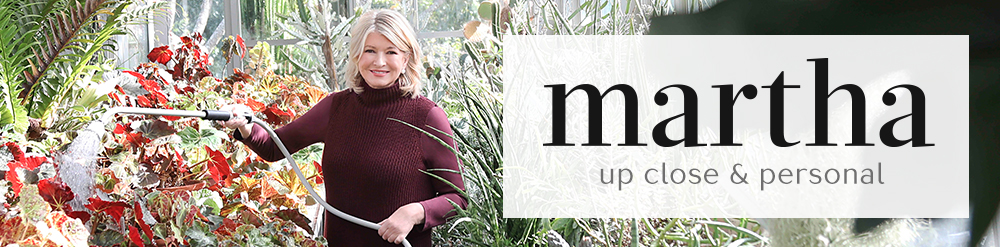 Top banner image. Martha Stewart, up close and personal.